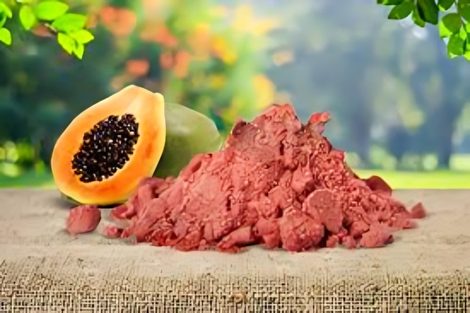 Papaya Powder Manufacturers in Madhya Pradesh